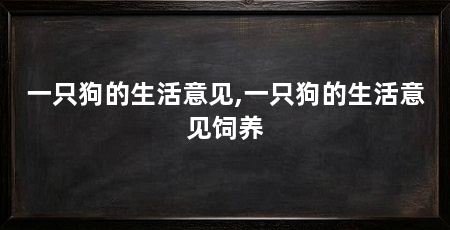 一只狗的生活意见,一只狗的生活意见饲养