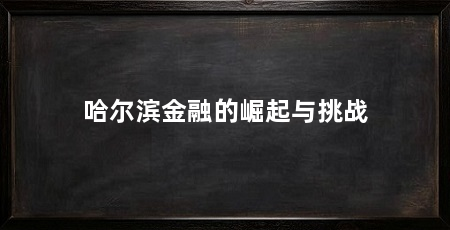 哈尔滨金融的崛起与挑战