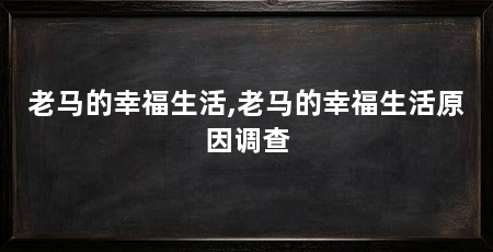 老马的幸福生活,老马的幸福生活原因调查