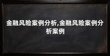金融风险案例分析,金融风险案例分析案例