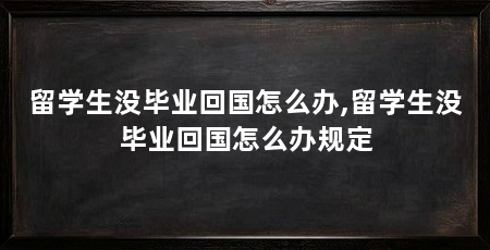 留学生没毕业回国怎么办,留学生没毕业回国怎么办规定