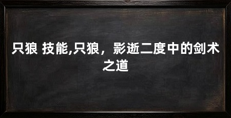 只狼 技能,只狼,影逝二度中的剑术之道