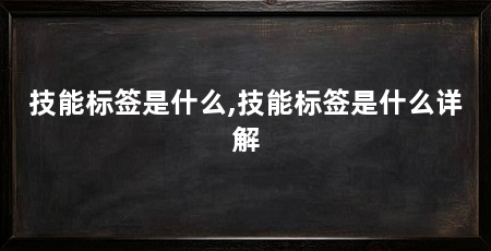 技能标签是什么,技能标签是什么详解
