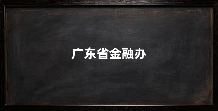 广东省金融办