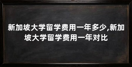 新加坡大学留学费用一年多少,新加坡大学留学费用一年对比