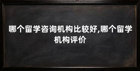 哪个留学咨询机构比较好,哪个留学机构评价