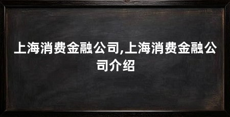 上海消费金融公司,上海消费金融公司介绍