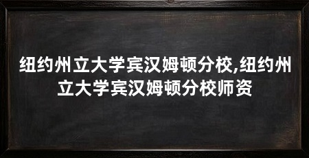 纽约州立大学宾汉姆顿分校,纽约州立大学宾汉姆顿分校师资