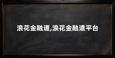 浪花金融道,浪花金融道平台