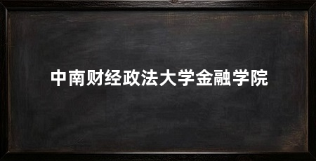 中南财经政法大学金融学院