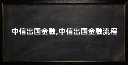 中信出国金融,中信出国金融流程