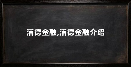 浦德金融,浦德金融介绍