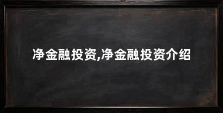 净金融投资,净金融投资介绍