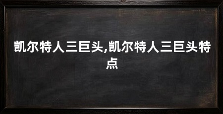 凯尔特人三巨头,凯尔特人三巨头特点