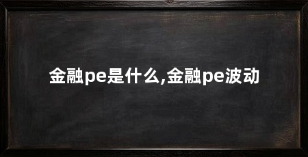 金融pe是什么,金融pe波动