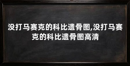 没打马赛克的科比遗骨图,没打马赛克的科比遗骨图高清
