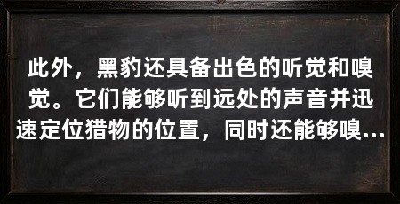 此外,黑豹还具备出色的听觉和嗅觉。它们能够听到远处的声音并迅速定位猎物的位置,同时还能够嗅出猎物的气味。这种高度发达的感官使黑豹能够更好地感知周围的环境,从而更好地捕捉猎物。(黑豹技能介绍)