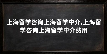 上海留学咨询上海留学中介,上海留学咨询上海留学中介费用