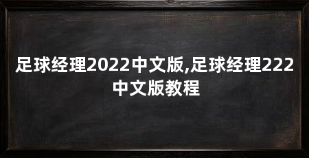 足球经理2022中文版,足球经理222中文版教程
