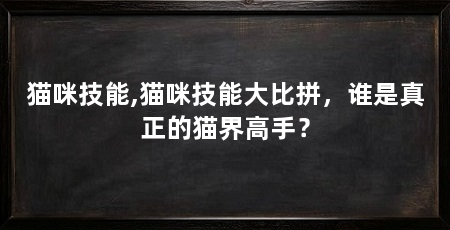 猫咪技能,猫咪技能大比拼,谁是真正的猫界高手?