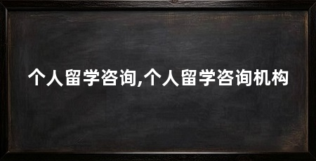 个人留学咨询,个人留学咨询机构