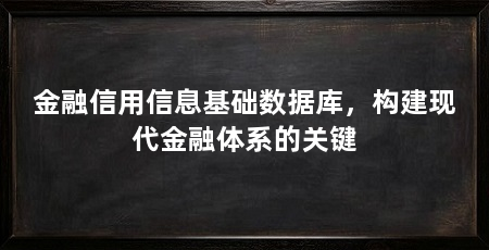 金融信用信息基础数据库,构建现代金融体系的关键