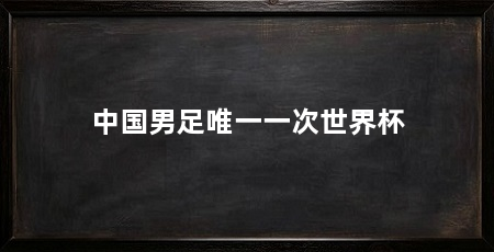 中国男足唯一一次世界杯