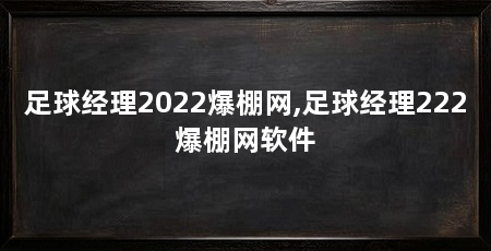 足球经理2022爆棚网,足球经理222爆棚网软件