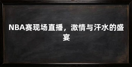 NBA赛现场直播,激情与汗水的盛宴
