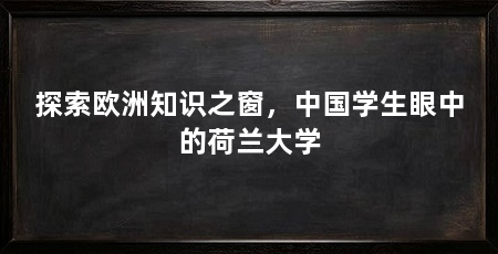 探索欧洲知识之窗，中国学生眼中的荷兰大学