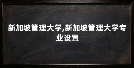 新加坡管理大学,新加坡管理大学专业设置