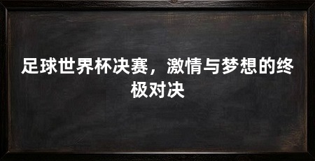 足球世界杯决赛,激情与梦想的终极对决