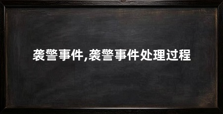 袭警事件,袭警事件处理过程