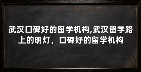 武汉口碑好的留学机构,武汉留学路上的明灯,口碑好的留学机构