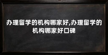 办理留学的机构哪家好,办理留学的机构哪家好口碑