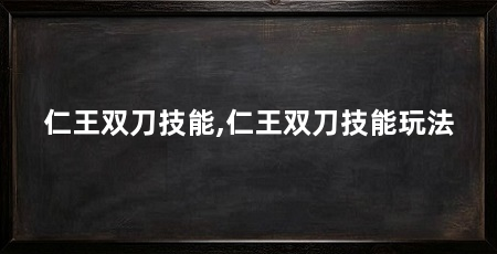 仁王双刀技能,仁王双刀技能玩法