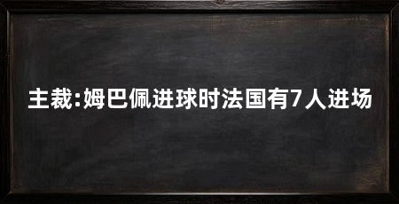 主裁:姆巴佩进球时法国有7人进场