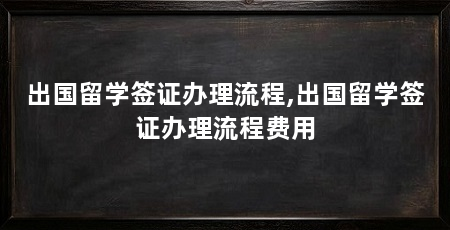 出国留学签证办理流程,出国留学签证办理流程费用