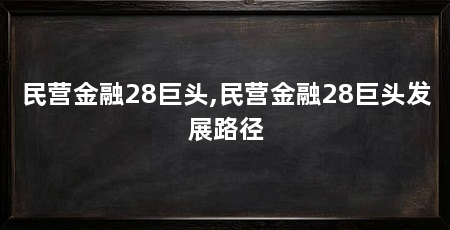 民营金融28巨头,民营金融28巨头发展路径