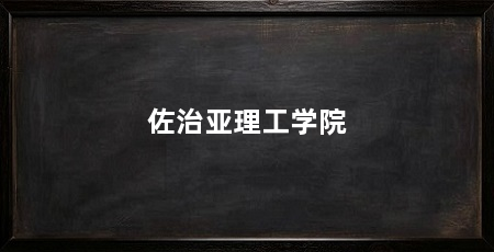 佐治亚理工学院