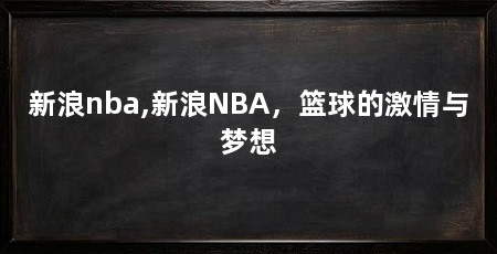 新浪nba,新浪NBA,篮球的激情与梦想