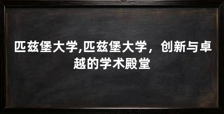 匹兹堡大学,匹兹堡大学，创新与卓越的学术殿堂