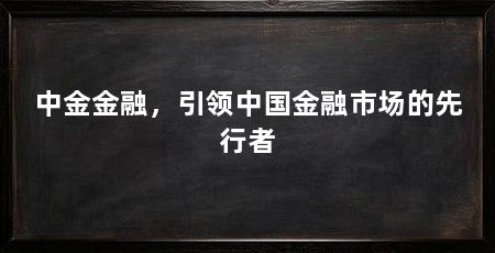 中金金融,引领中国金融市场的先行者
