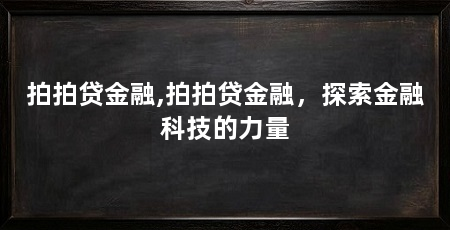 拍拍贷金融,拍拍贷金融,探索金融科技的力量