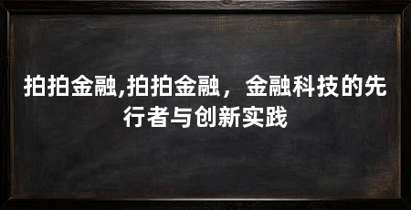 拍拍金融,拍拍金融，金融科技的先行者与创新实践