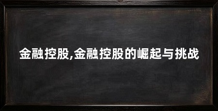 金融控股,金融控股的崛起与挑战