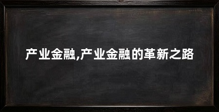 产业金融,产业金融的革新之路