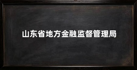山东省地方金融监督管理局