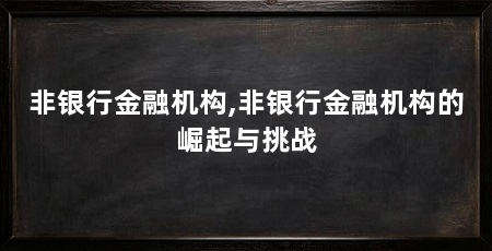 非银行金融机构,非银行金融机构的崛起与挑战
