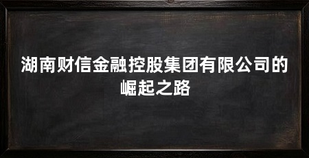 湖南财信金融控股集团有限公司的崛起之路